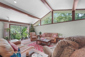 Smart TV, fireplace, ping pong, books