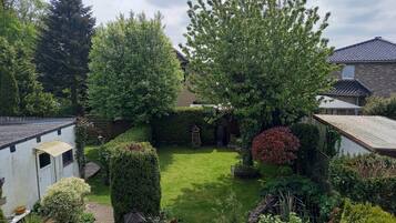 A residential garden with a lawn, various trees, and a building with a tiled roof.