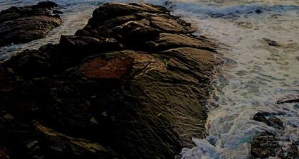 Nice Condo in the beach and close to everything