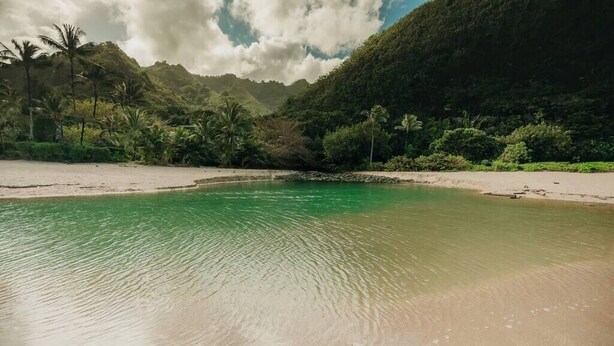 Una playa con agua cristalina, palmeras y montañas al fondo.