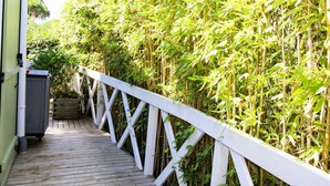 Una terraza de madera con baranda blanca que atraviesa densa vegetación de bambú.