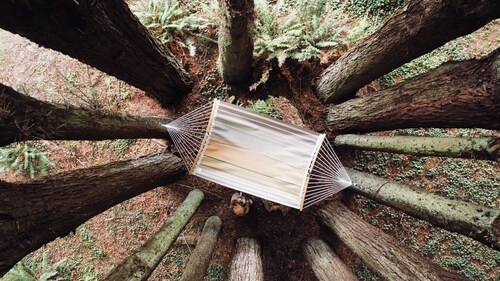 Forest oasis 3 min from beach + Hot Tub + Fire Pit