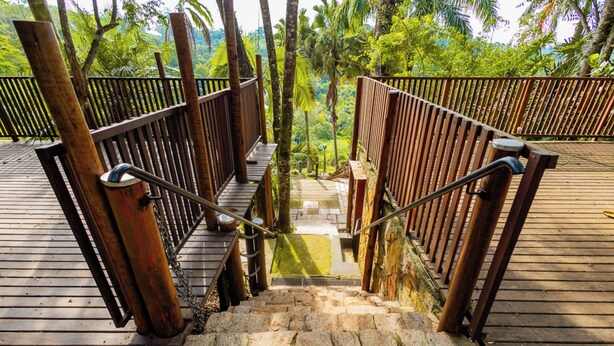 Una escalera de madera con barandillas de metal que lleva a una plataforma de piedra rodeada de abundante vegetación.
