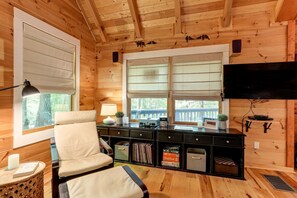 Televisión, chimenea y reproductor de DVD 