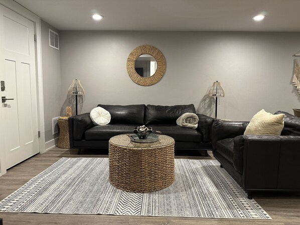 TV connectée, cheminée, livres, chaîne hi-fi