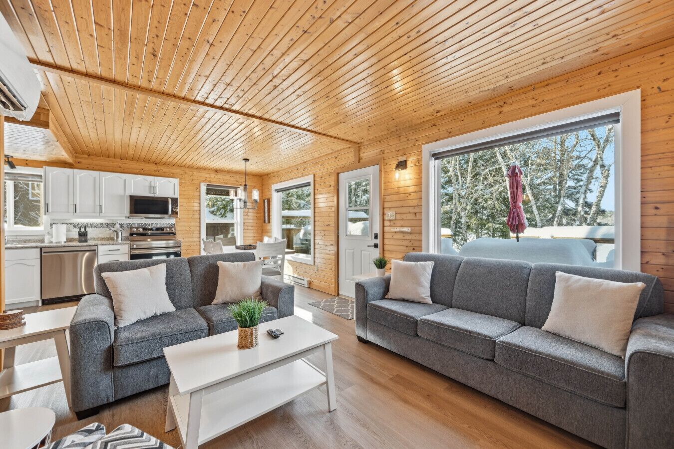 Smart TV, fireplace, books, stereo