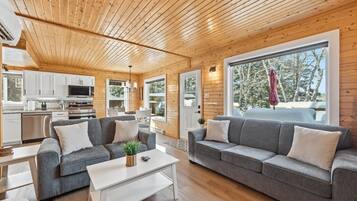 Smart TV, fireplace, books, stereo