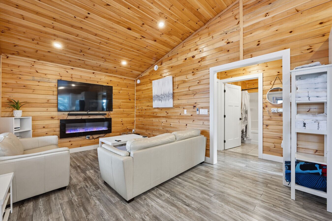 تلفزيون ذكي، مدفأة، ستيريو