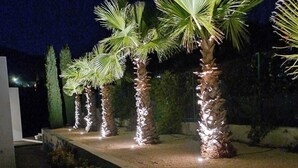 Un espace extérieur aménagé pour la nuit, avec des palmiers et un chemin en béton.