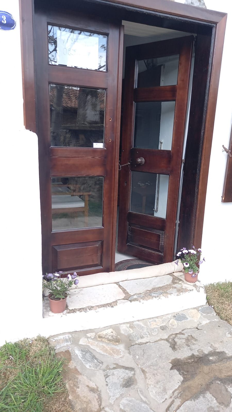 A wooden door with glass panels, a stone step, and two potted plants.