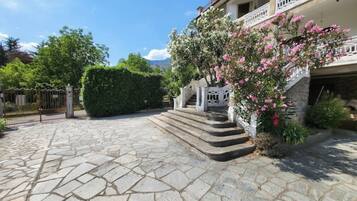 Área da propriedade