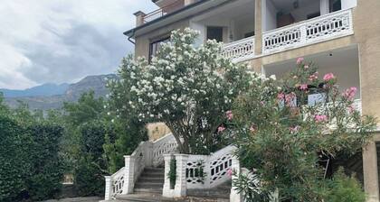 Large air-conditioned apartment with private courtyard