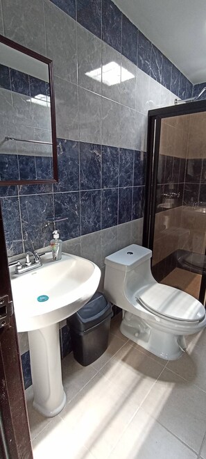 Dusche, Handtücher, Seife, Shampoo