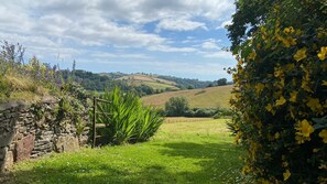 Property grounds - Beautiful converted barn, a retreat for families and friends to enjoy! (Ashprington, Totnes)
