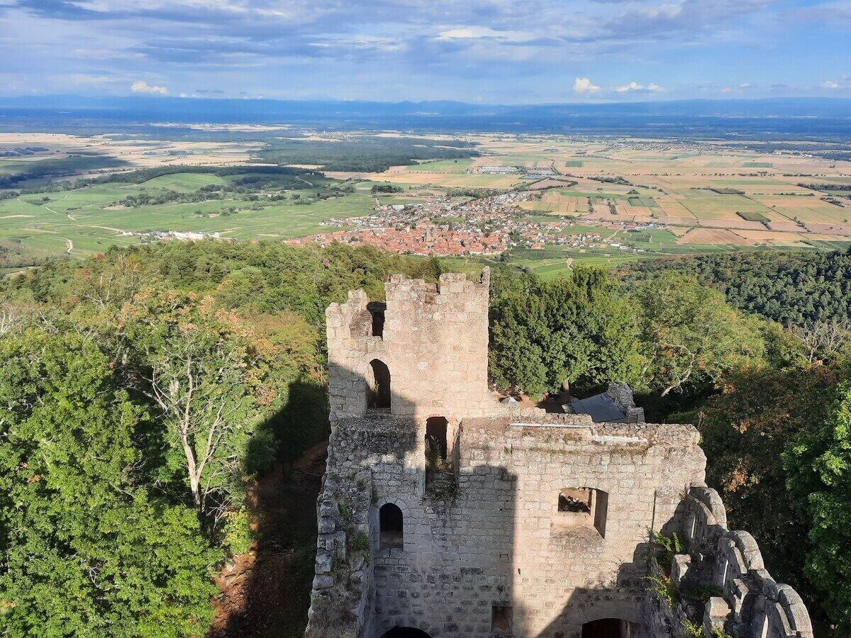 An aerial view of a historic stone tower with a surrounding forest, a distant town, and expansive fields.