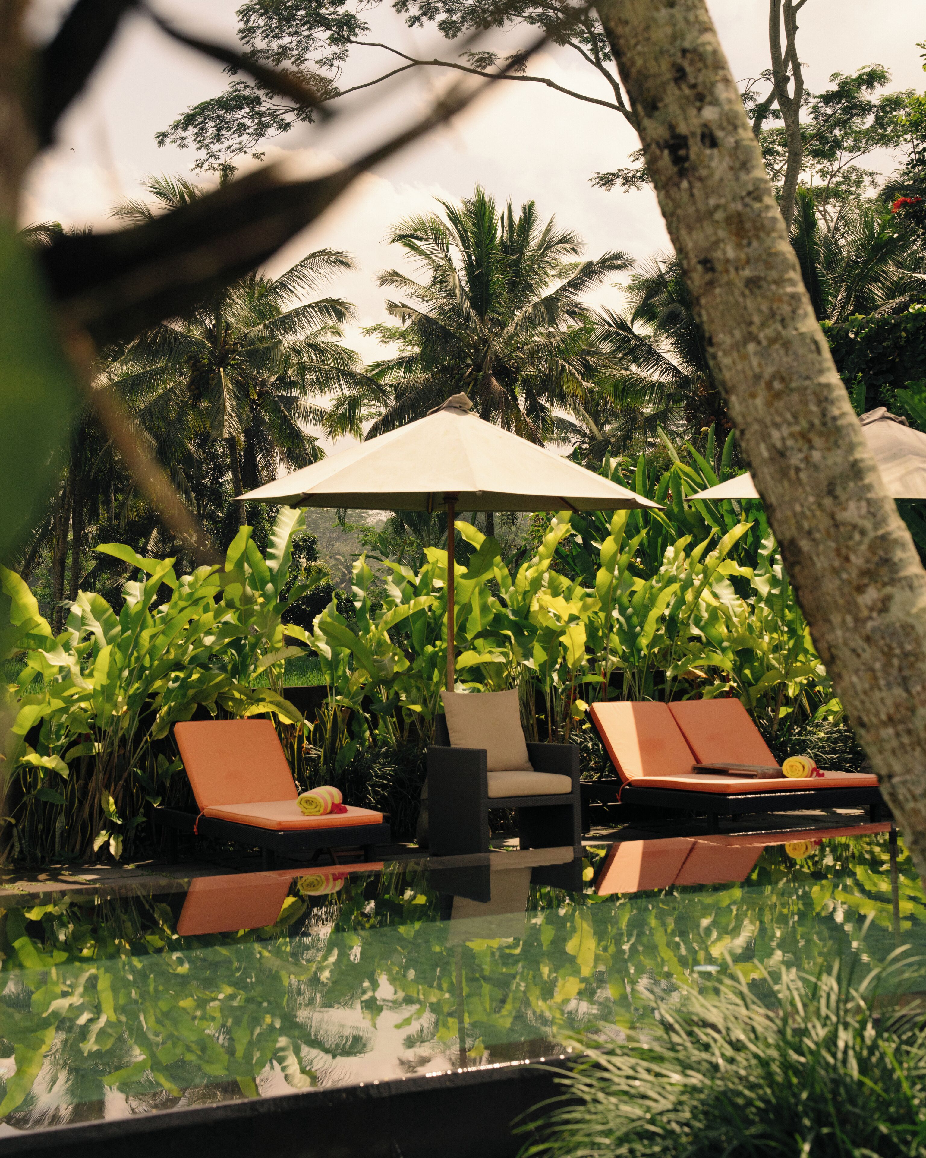 Foto - Amala Villas Ubud by Nakula