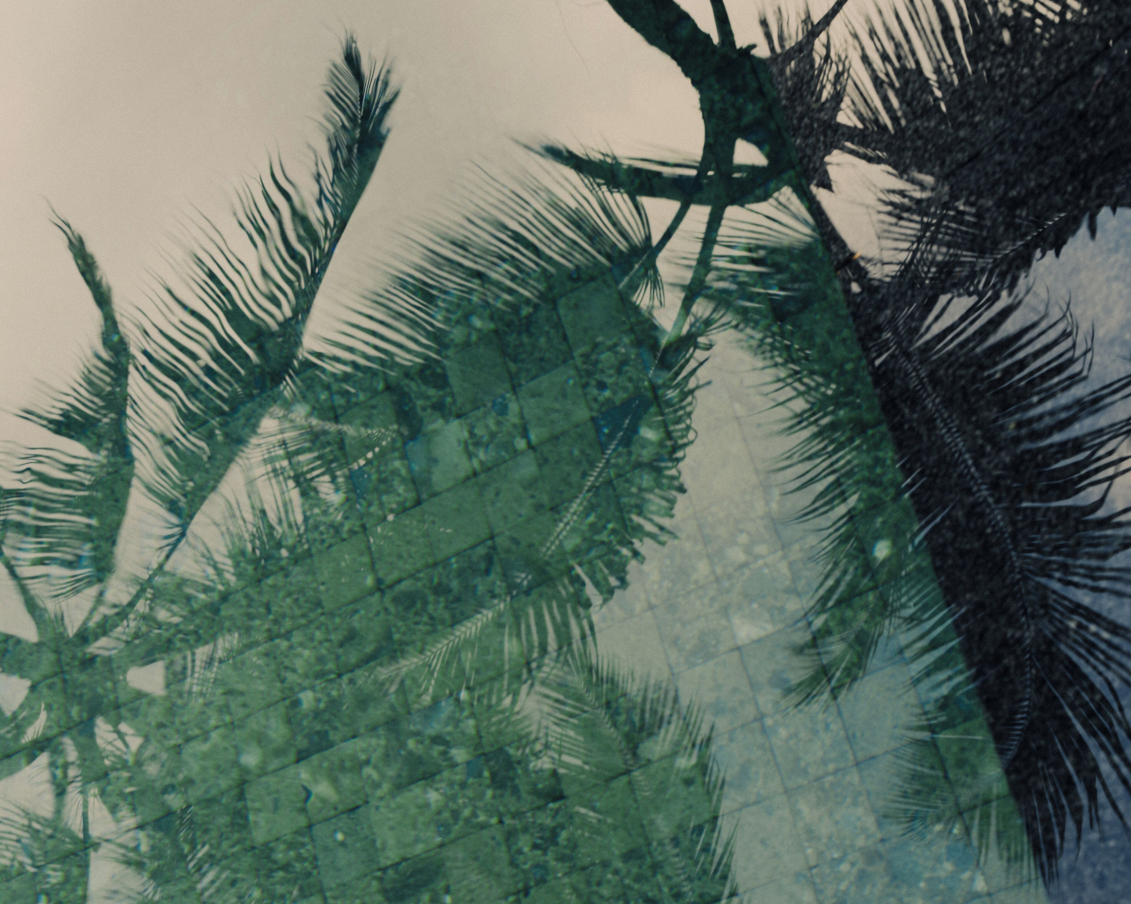 Foto - Amala Villas Ubud by Nakula