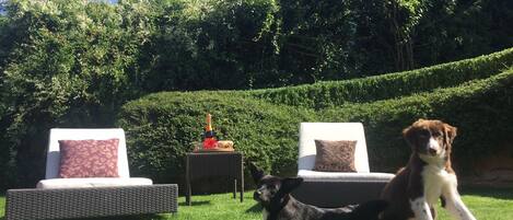 Overnatningsstedets område