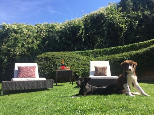 Luxusresidenz am Belvedere