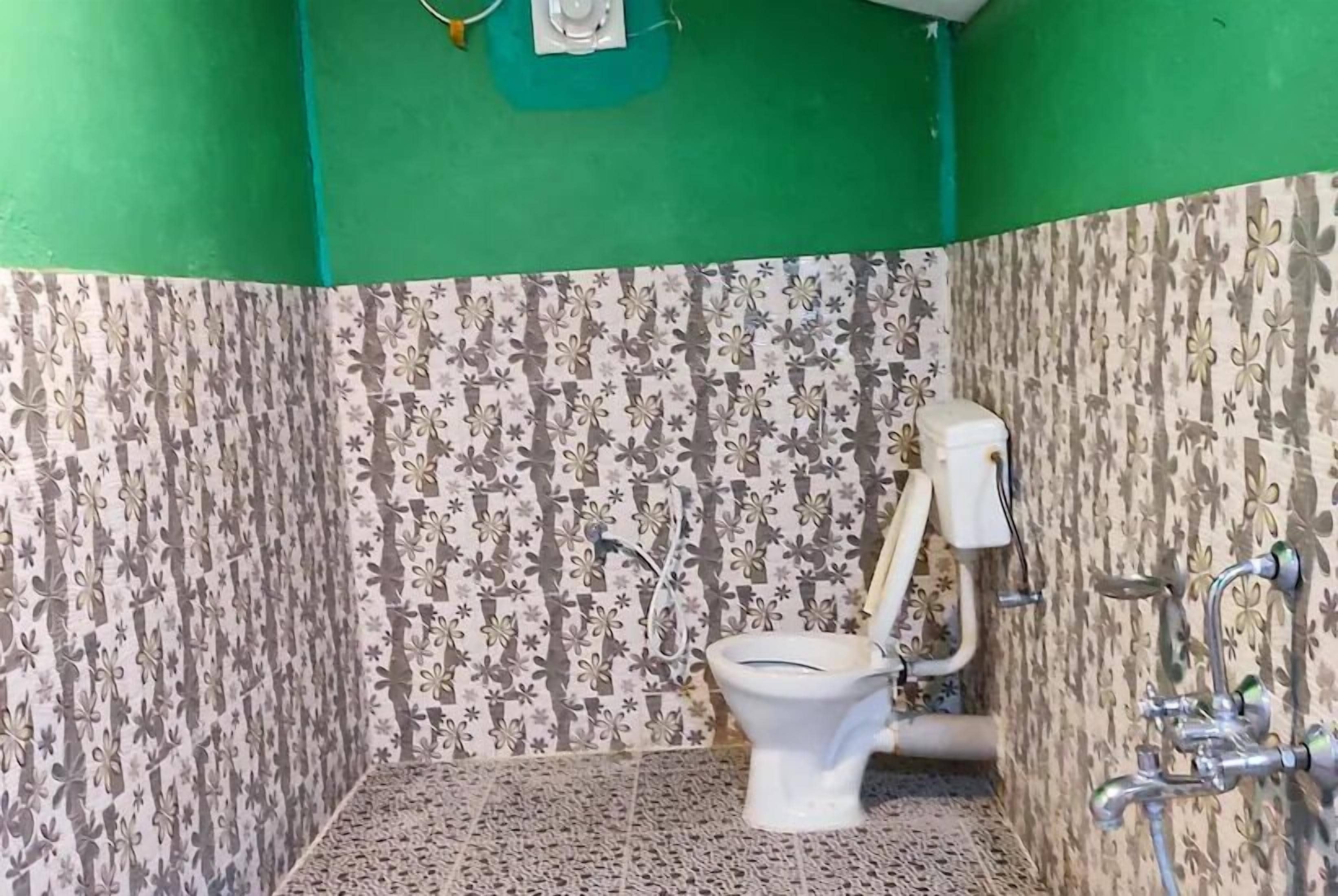Un baño con paredes decoradas, un inodoro y una zona de ducha.