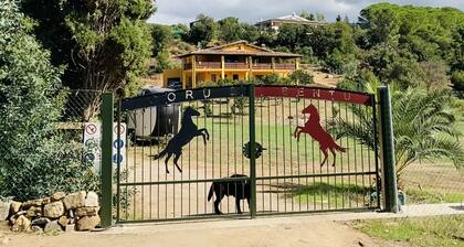 - Vacation for body and soul at our ranch by the sea