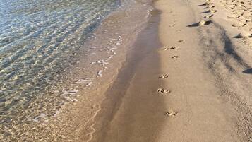 Una spiaggia nelle vicinanze