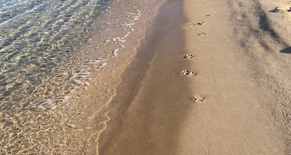 - Vacation for body and soul at our ranch by the sea