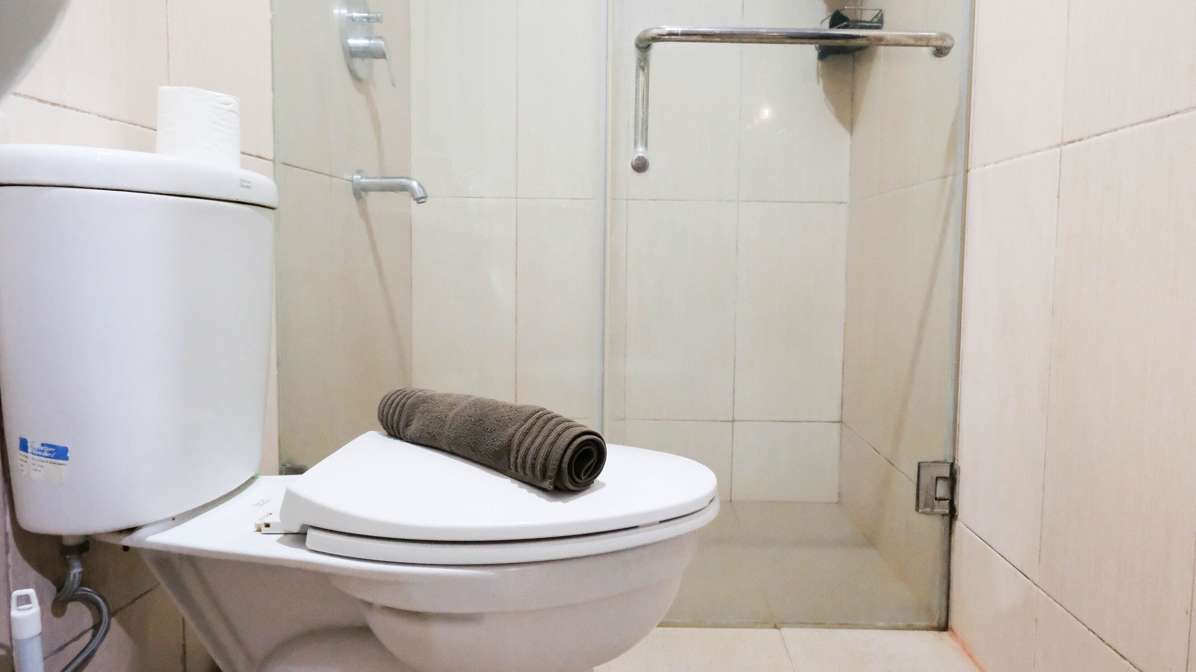 A bathroom with a toilet, a shower, and a handrail.