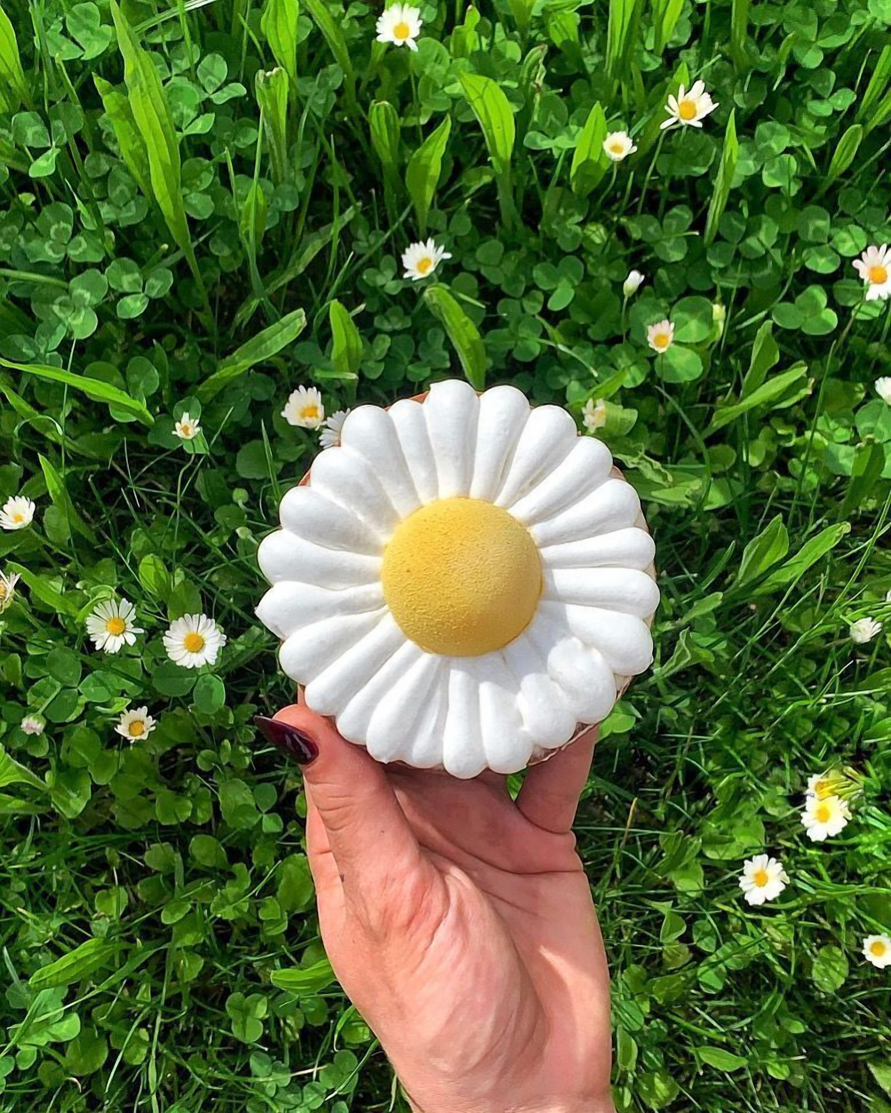 Une main tenant une grande fleur de marguerite artificielle sur un fond de trèfles verts et de petites fleurs blanches.
