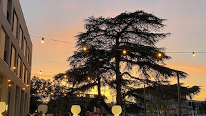 Un área de estar al aire libre con mesas y sillas redondas, luces colgantes y un gran árbol de fondo.