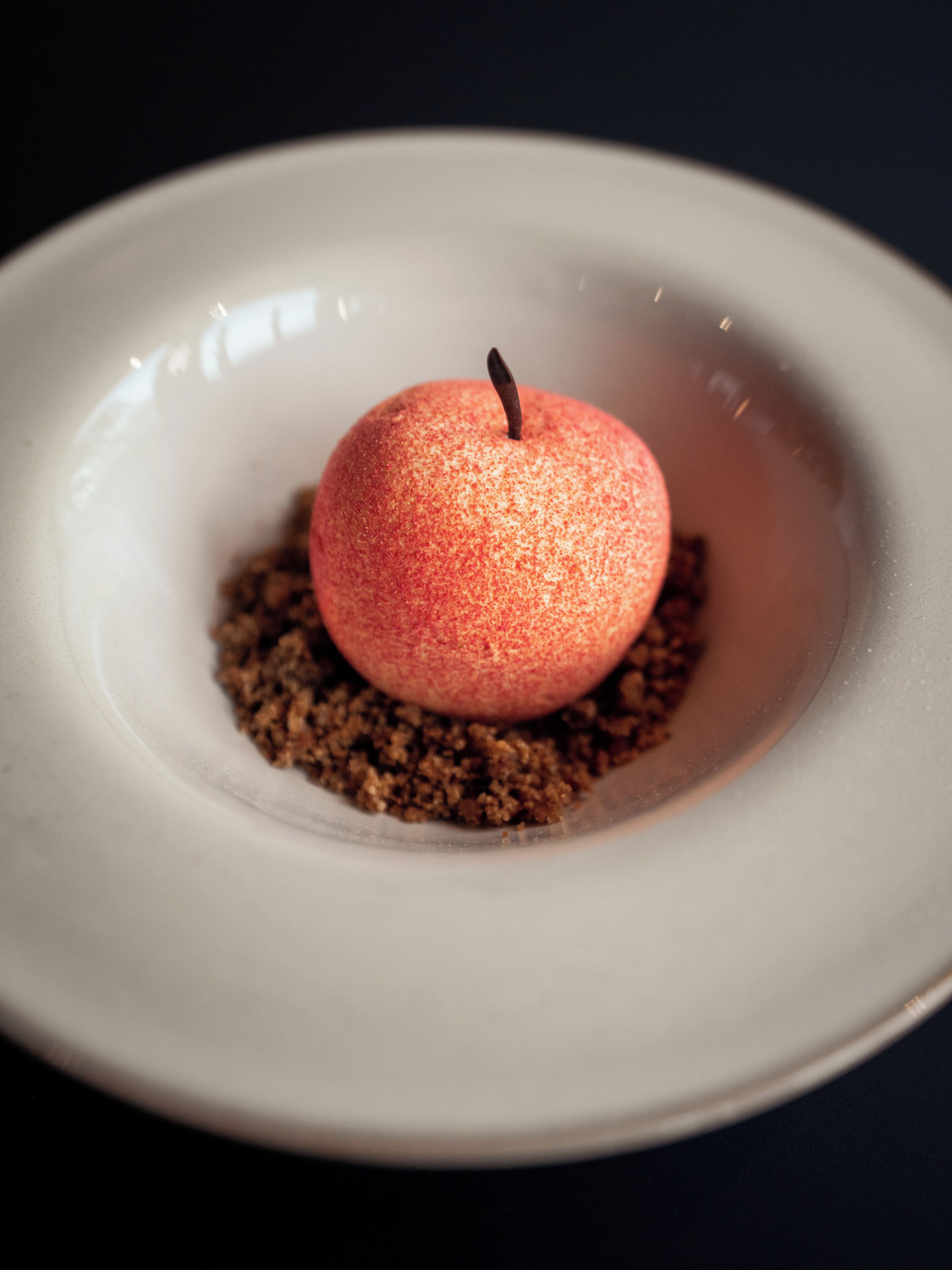 A dessert on a white plate with a textured surface and a central apple-like fruit.