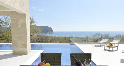 Modern villa with sea view