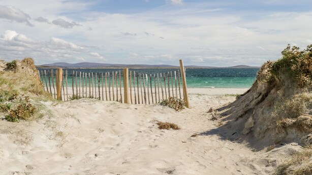 A sandy beach with a wooden fence leading to the sea, surrounded by dunes and vegetation.