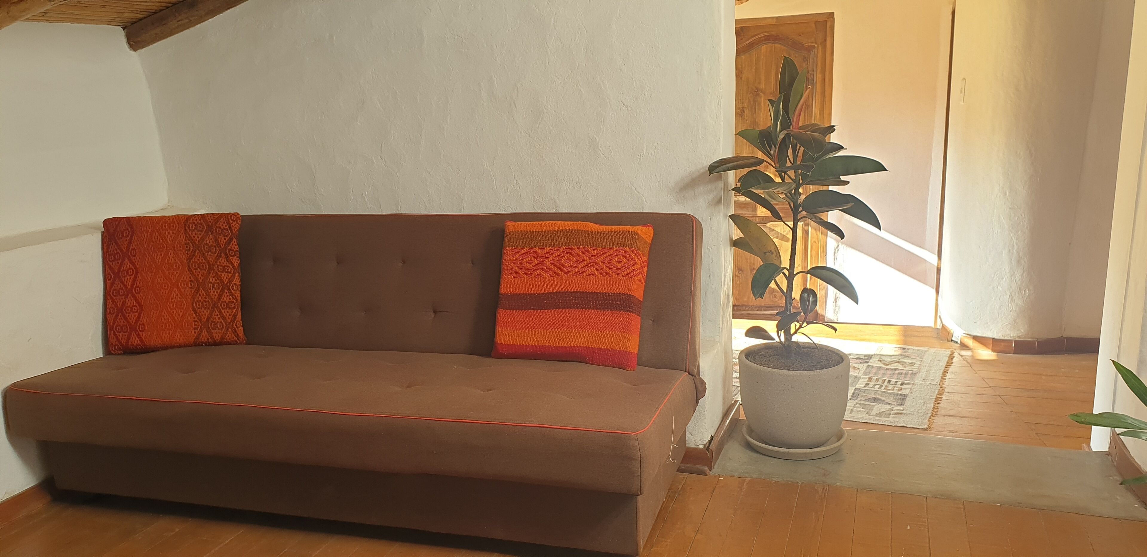 A brown sofa with patterned cushions, a potted plant, and a wooden floor.