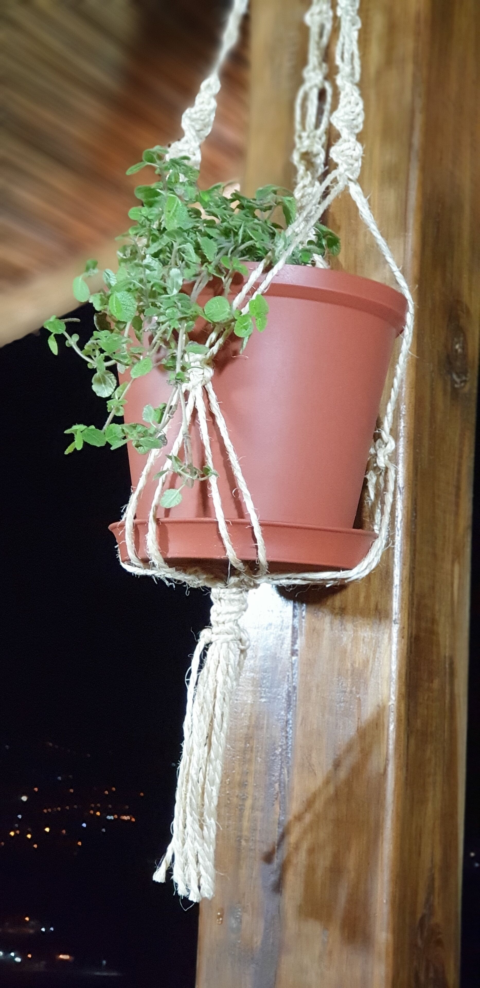 Een terracotta hangplanter met een plantje, vastgemaakt aan een houten constructie met touw.