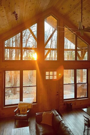 Smart TV, fireplace, DVD player, stereo