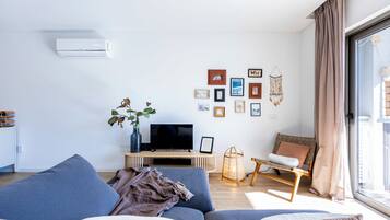 Fernseher