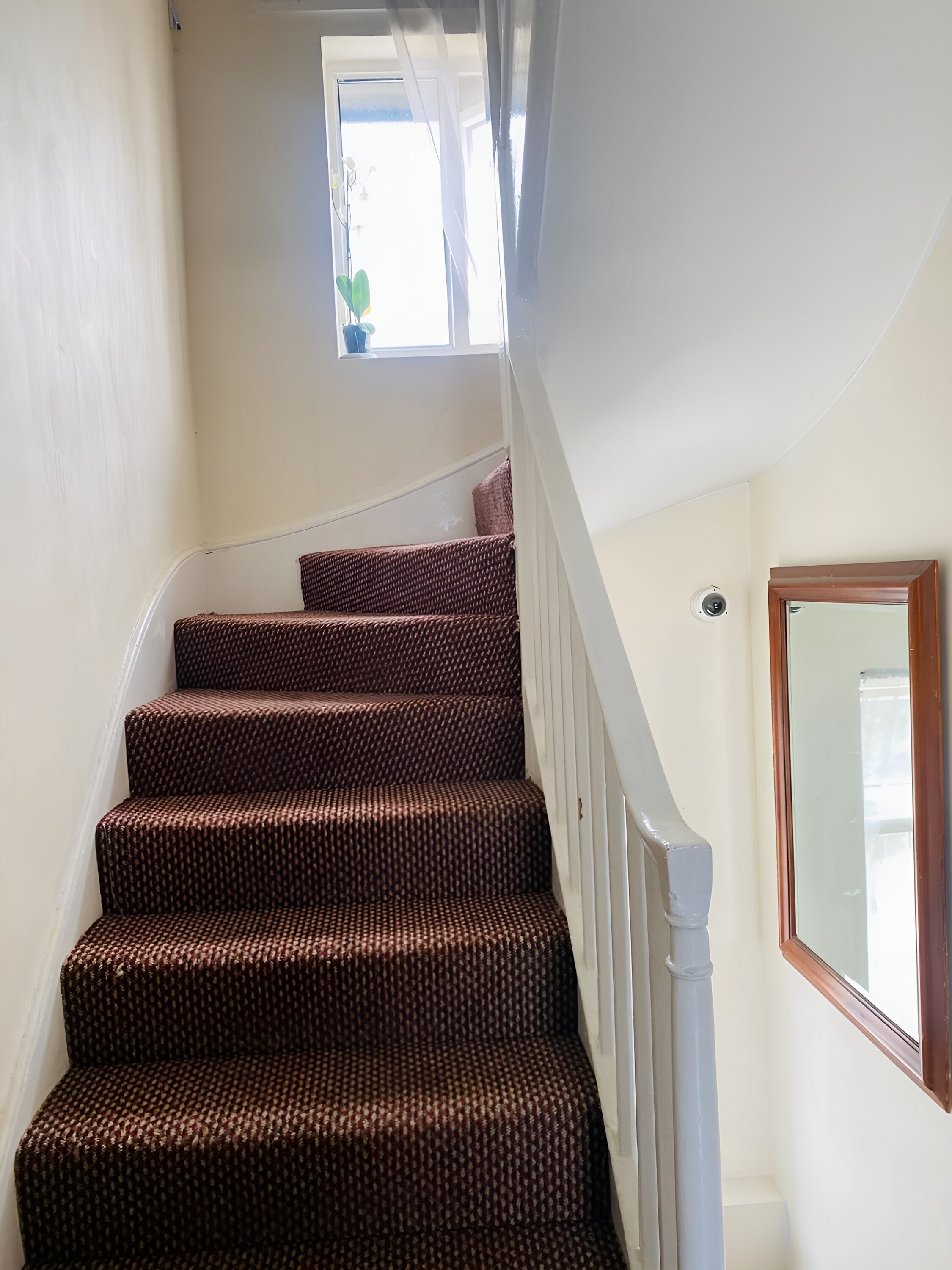 A staircase with a patterned carpet, white walls, and a small window with a plant.
