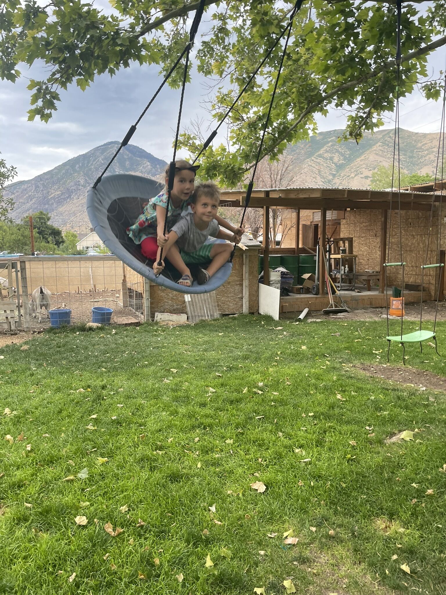 Enceinte de l’hébergement