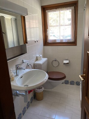 Combined shower/bathtub, towels, soap, toilet paper