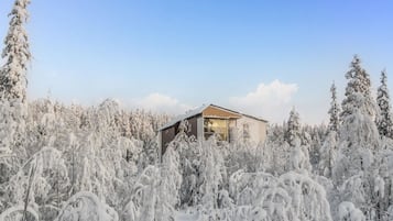 Ulkopuoli