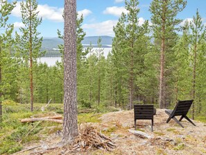 Penkki metsässä, taustalla järvi ja vuoret.
