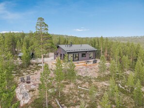 A modern house surrounded by a forest with a clear sky. - Villa horihane by Interhome (Inari)