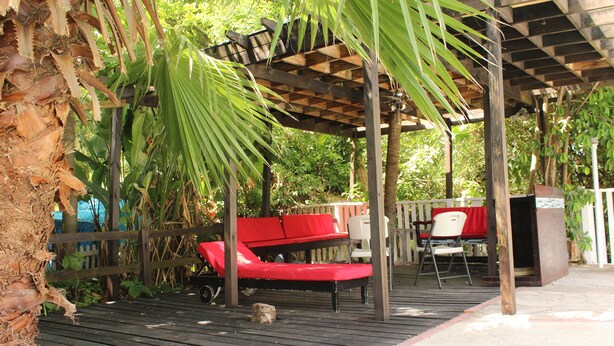 Una terraza de madera con un banco rojo y una silla blanca, rodeada de exuberante vegetación y una pérgola de madera.