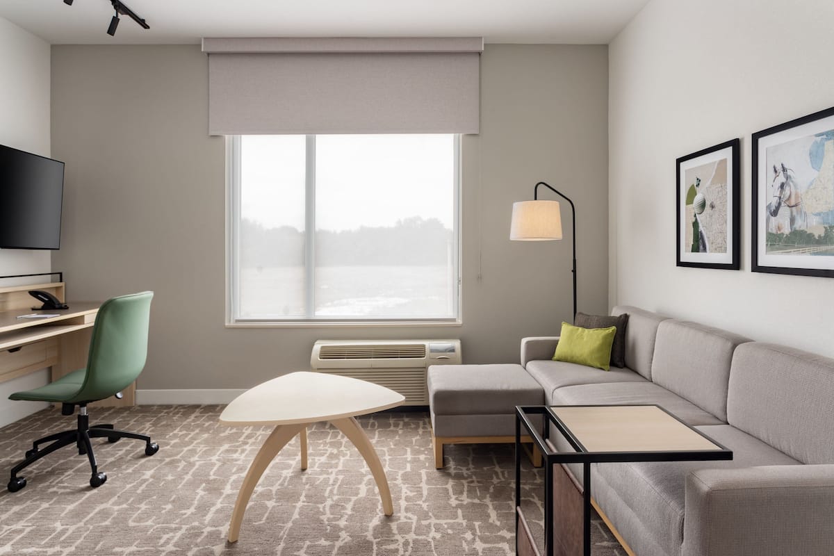 A modern hotel room with a large window, a flat-screen TV, a desk, a green office chair, a grey sofa, a small table, and two framed pictures on the wall.