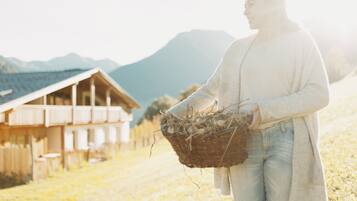 Áreas de la propiedad