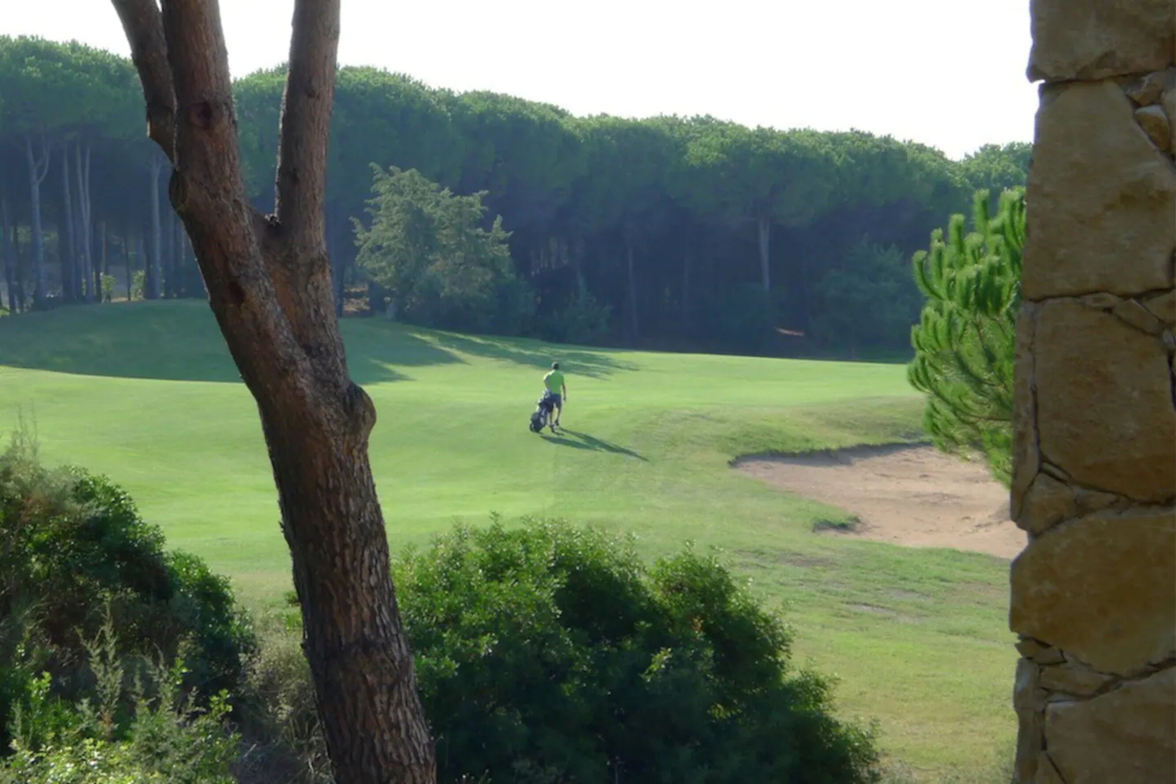 Un terrain de golf avec une personne portant un t-shirt vert, des arbres et un mur de pierres.