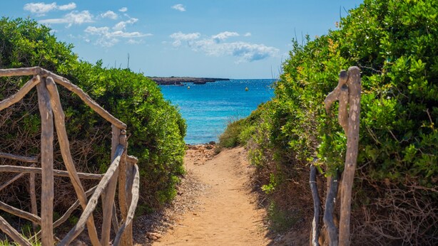 Un sendero que lleva a una playa, con vista despejada al mar.