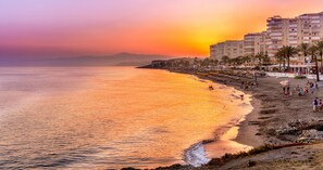 Un hôtel en bord de mer offrant une vue sur la plage, avec plusieurs étages et une rangée de palmiers.