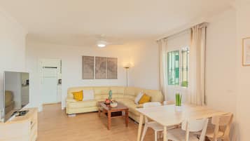 Télévision, lecteur de DVD, chaßne hi-fi